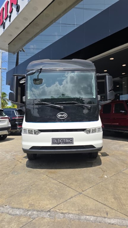 2023 BYD Cargo Van T3 — foto 2 / 12