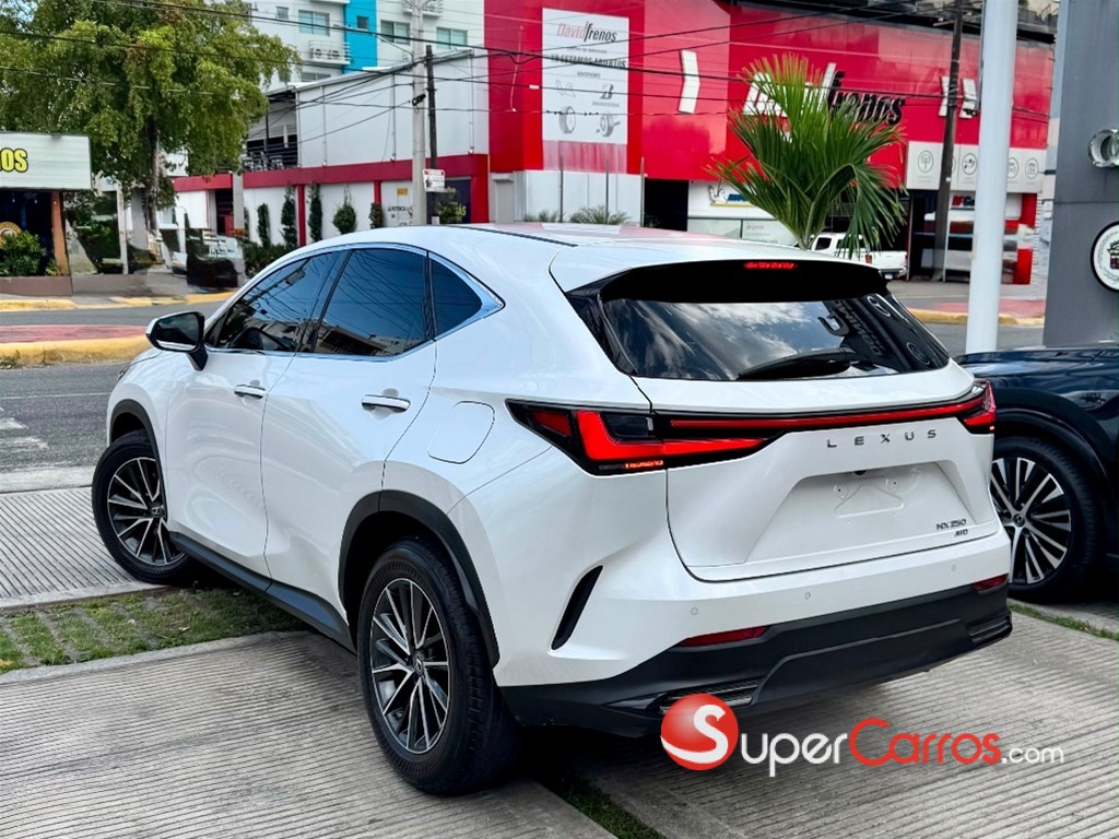 2023 Lexus NX 250 — foto 10 / 12