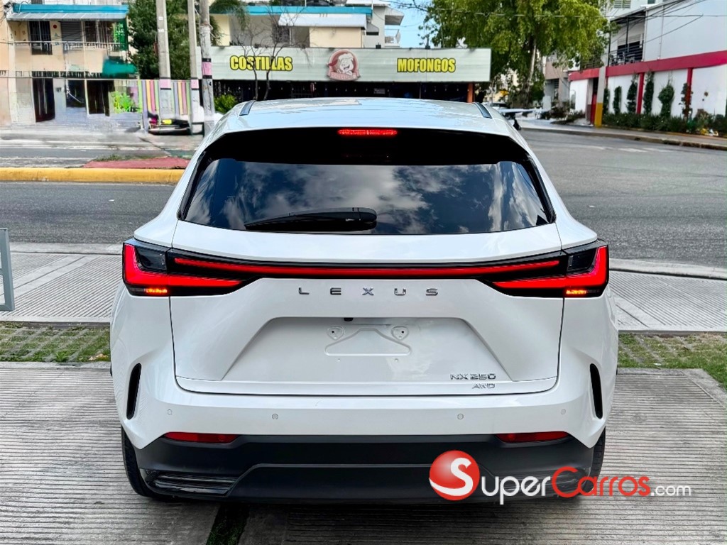 2023 Lexus NX 250 — foto 11 / 12