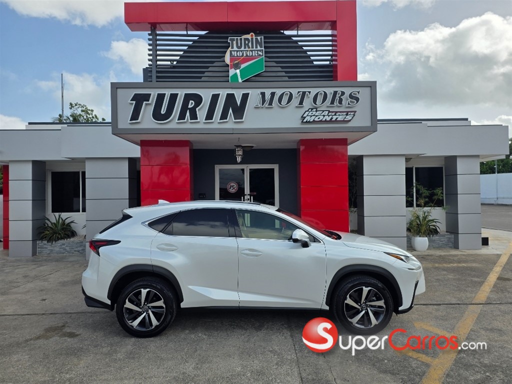 2021 Lexus NX 300