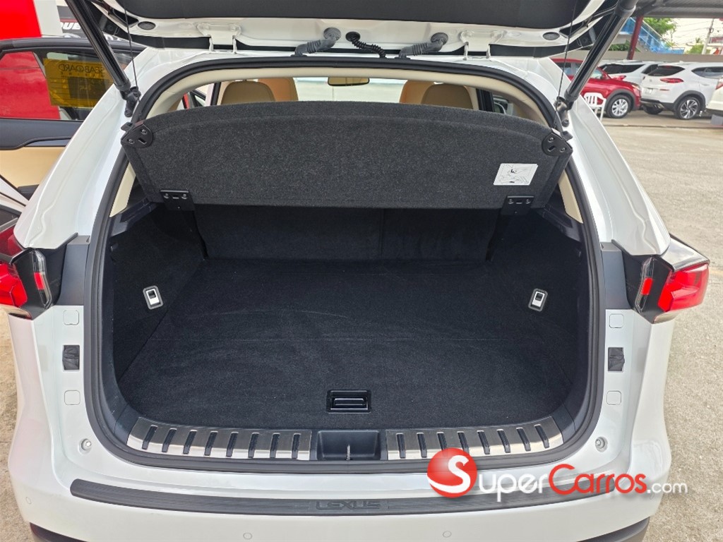 2021 Lexus NX 300 — foto 11 / 12