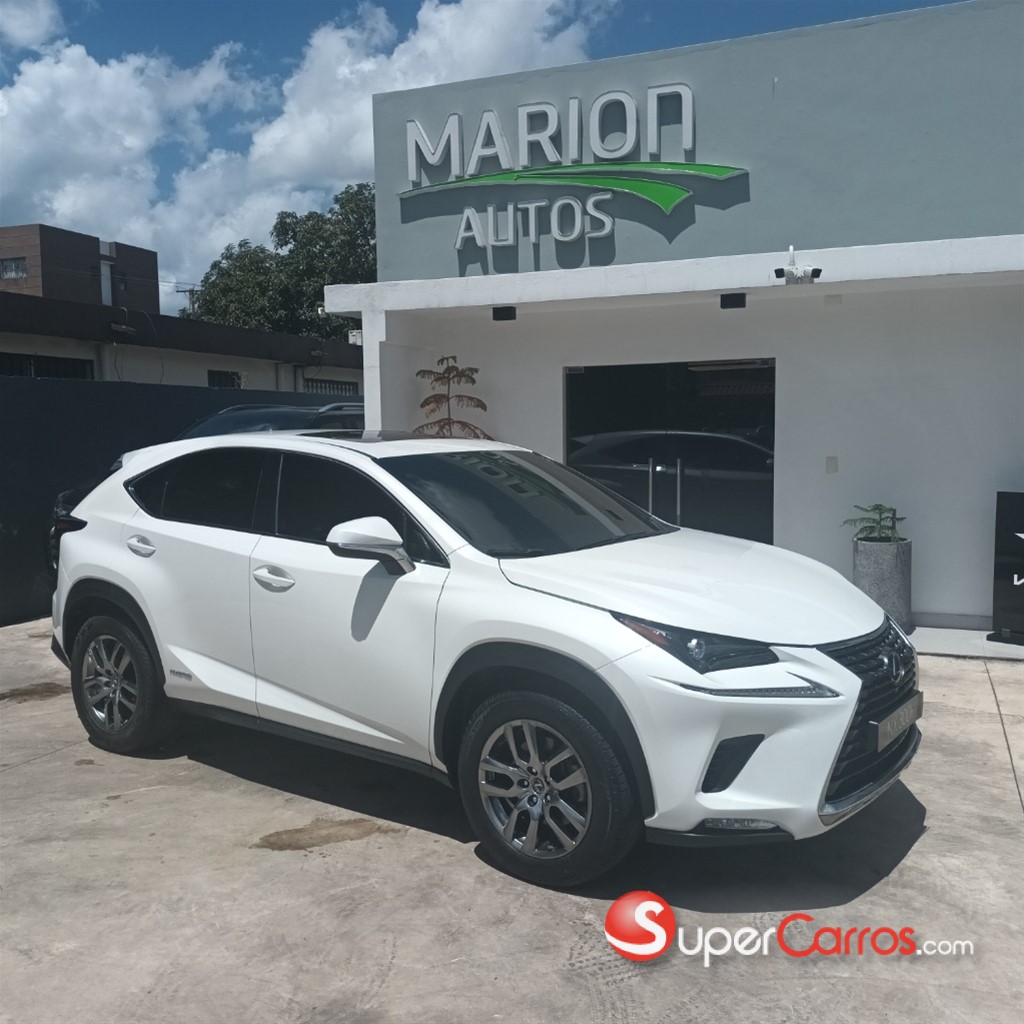 2020 Lexus NX 300 Hybrid