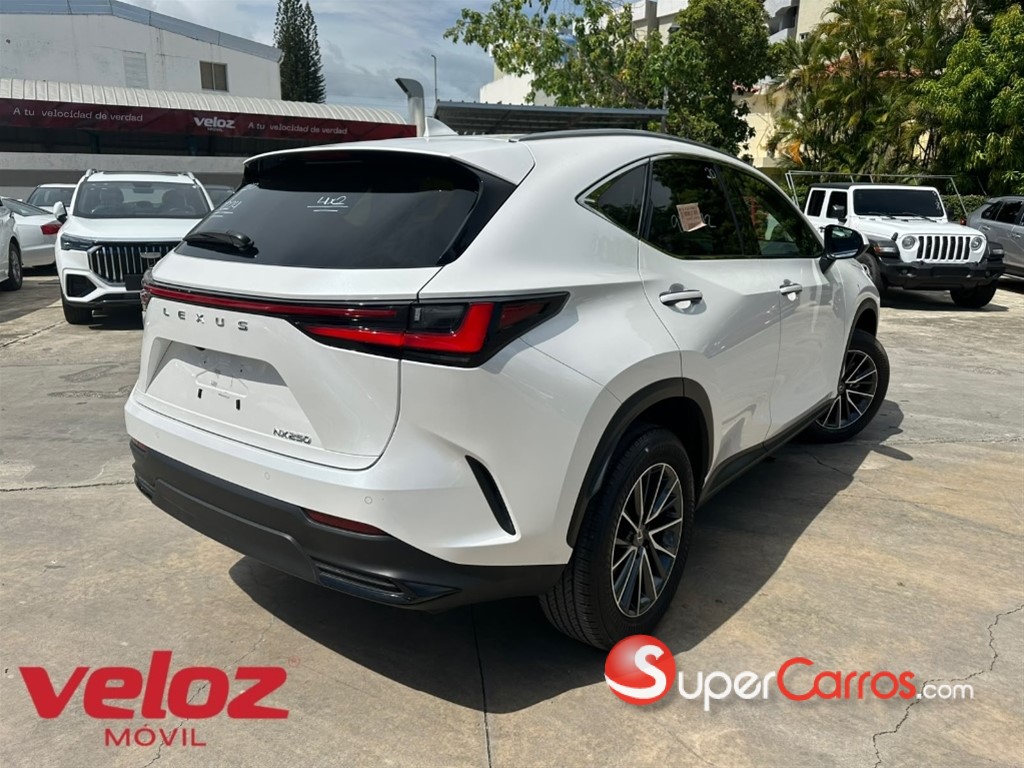 2024 Lexus NX 250 — foto 3 / 10