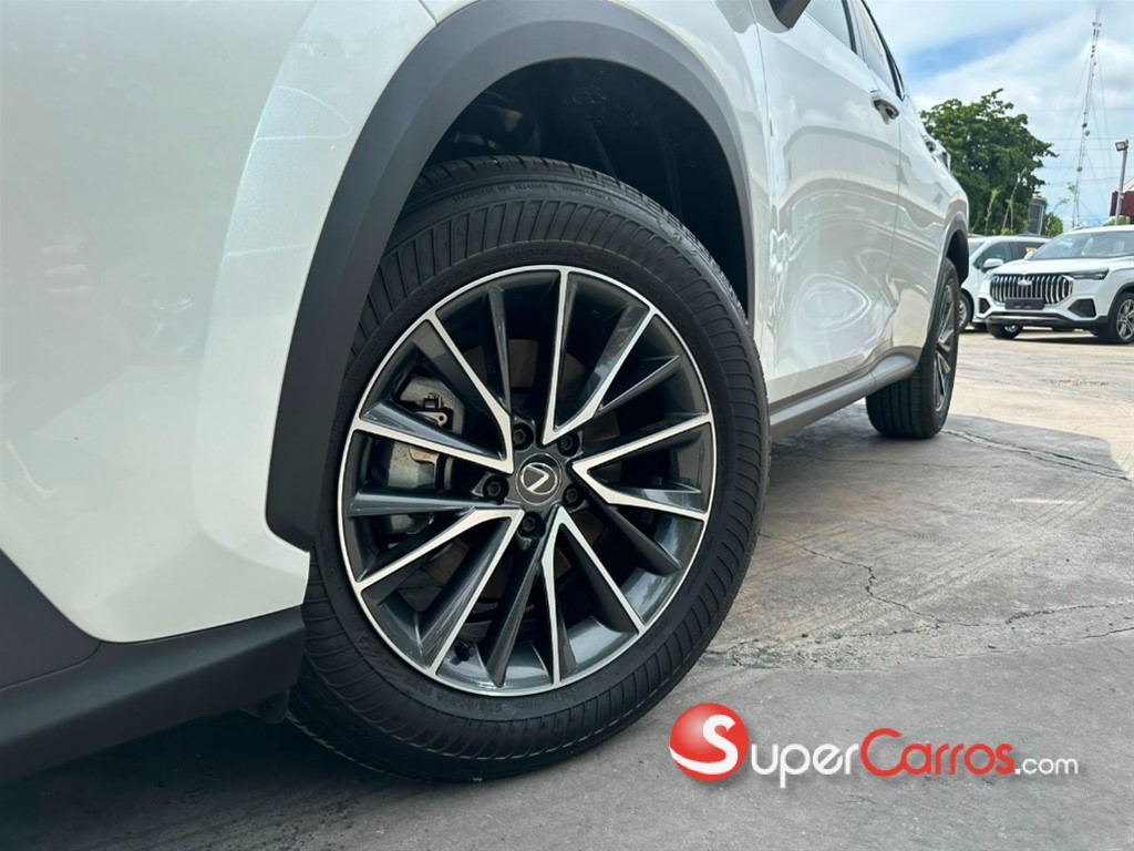 2024 Lexus NX 250 — foto 10 / 10