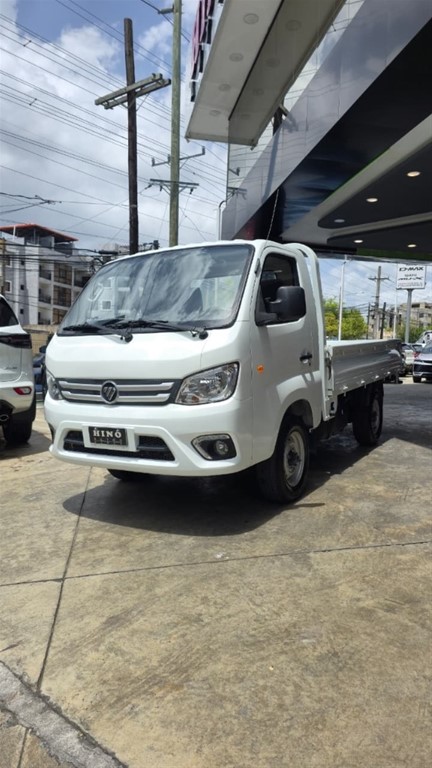 2024 Foton Truck Mate