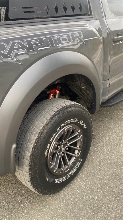 2020 Ford F 150 Raptor XLT — foto 8 / 12