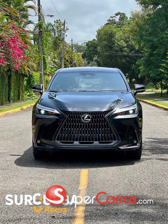 2026 Lexus NX 300 Hybrid — foto 2 / 8
