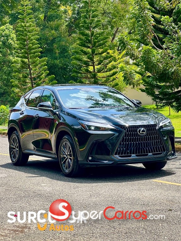 2026 Lexus NX 300 Hybrid — foto 3 / 8