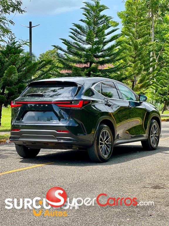 2026 Lexus NX 300 Hybrid — foto 4 / 8