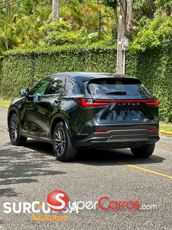2026 Lexus NX 300 Hybrid — foto 6 / 8