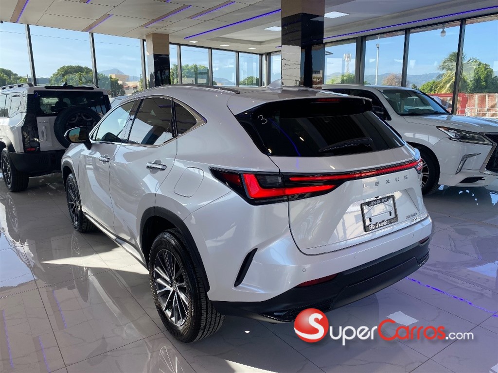 2022 Lexus NX 350 Luxury — foto 6 / 12