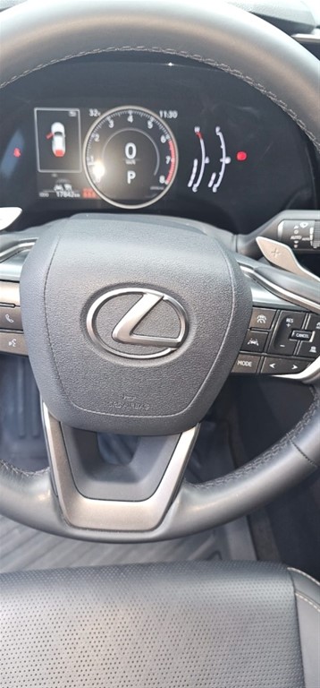 2024 Lexus RX 350 — foto 10 / 12