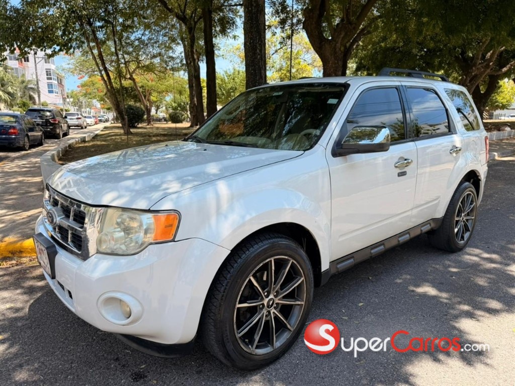2010 Ford Escape XLT